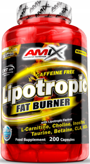 Spaľovač tuku - AMIX Lipotropic Fat Burner 100CAPS BURNER