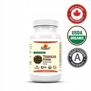Testosterón - Bio Tribulus Libido, Adaptogén, 60 Vege Ajurveda