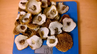 Borowik 1 Class celé klobúky Výhodné !!! 100g! Na