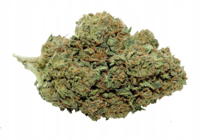 Banana OG 5G / 3,4% CBD