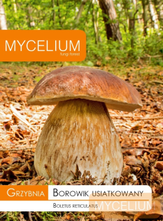 Mycelium huby mycélium 10 g