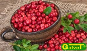 Sušené ovocie - Kočkové ovocie LUZ 1KG - sušené