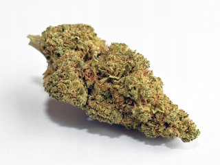 CBD - Hemp Brothers Lemon Haze 3g SUCHÉ KONOPIE CBD