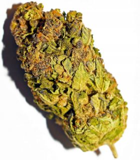 CBD - CBD Harlequin 3G Strong Konope Marihuana Thc