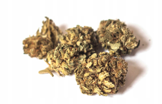 CBD - CBD Remedium Subrna Knink CBD 12,7% Santa Maria 5g
