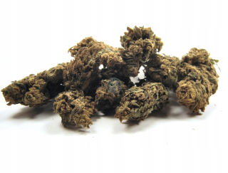 CBD - Cbd / susz konopny / cannabis sativa / 10g / konope