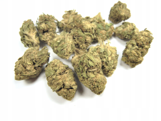 CBD - CBD / Susz konopný / Cannabis sativa / 10G / PRÍRODNÝ
