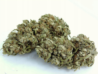 CBG HAZE 5g / 10,6% CBG