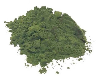 Chlorella prášok 500g