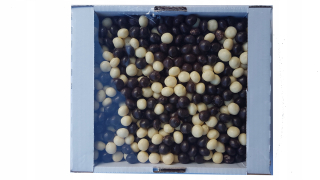 Kukuričné lupienky v MLIEČNEJ ČOKOLÁDE 0,9 kg