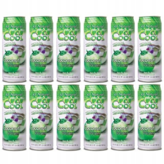 COCO COUNT COCONUT SET 12x520ML 100% kokos