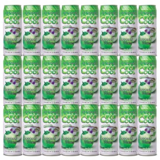 COCO COUNT COCONUT VODA 24X520ML 100% COCONUT