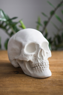 SKULL Model Czachy ľudskej anatomické cast