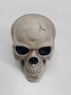 Halloween - Fiestas Giirca Wood stojaca lebka 20 cm