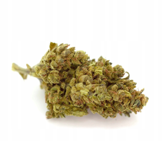 CBD - CBWEED Hemp Sun CBD 12% Mango Haze 2G