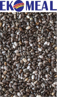 Chia Szałwia Španielska 1kg