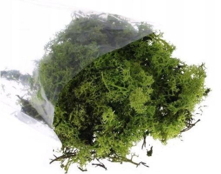 Veľkonočná dekorácia - Ozdobte Green 1 PC.
