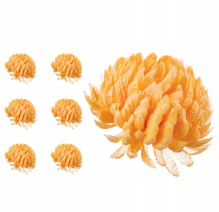 Chrysanthemum ananás žltý 6 kusov produkt