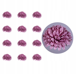 Sektor Chrysanthemum Heather hlava 12 kusov