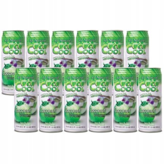 COCO COOL COCONUT VODA V MÔŽE NASTAVENIE 12 X 520 M