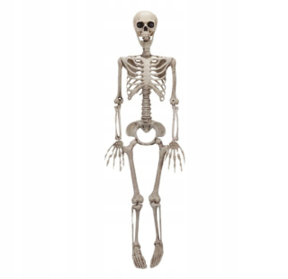 Halloween - Dekorácia kostra zavesenie kostry mŕtve 90 cm