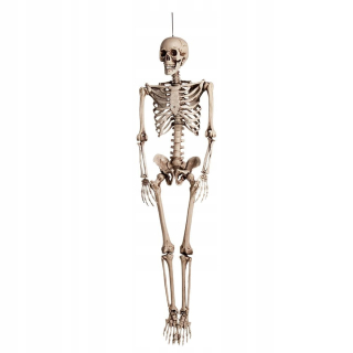 Halloween - Závesné kostrové bolandské plasty 160 cm