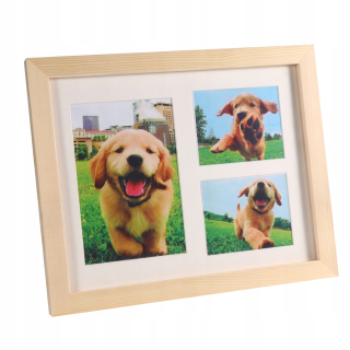 DIY pes šteňa mačka foto drevený rám páv