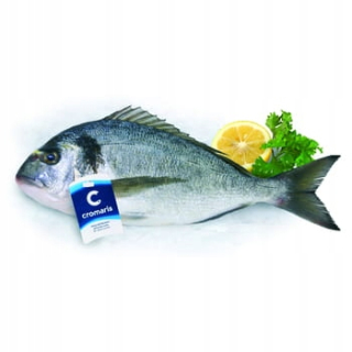 Dorada Drawn 250-330g