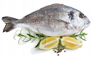 Dorada čerstvé čerstvé lahodné ok.350g
