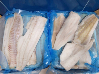 Treska čierna filé bez kože 9kg