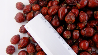 Sušené ovocie - Divoká ruža celé sušené ovocie vitamín C 907g