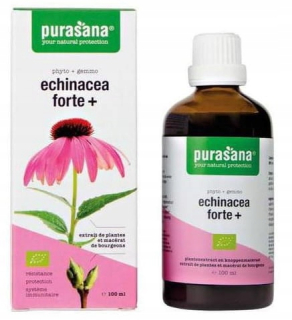 Echinacea Forte Purple Jeżówka Drops Bio 100ml