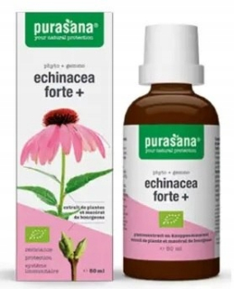 ECHINACEA FORTE (PURPLE ECHINACEA) BIO KAPKY 50