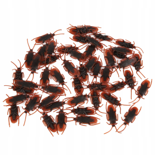 Falošný šváb falošný šváb