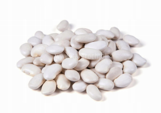 BEAN BEANS HUDSTROVANÉ 5 KG