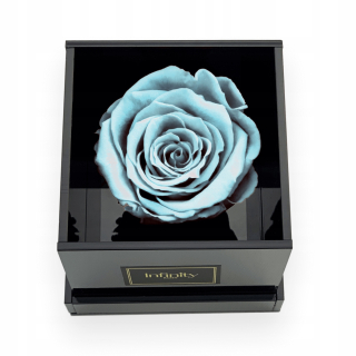 Darček na Valentína - Infinity vzrástla o 8 cm