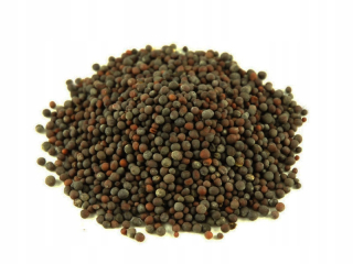 Gorczyca Čierny celé zrno 5 kg obilia horčica