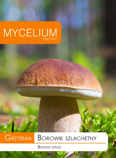 Huba Boletus Noble Burgundy + Free