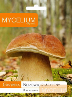 Huba Boletus Noble