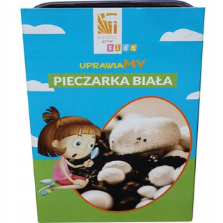 HUBOVÁ SÚBOR húb biela - kultivácia pre deti