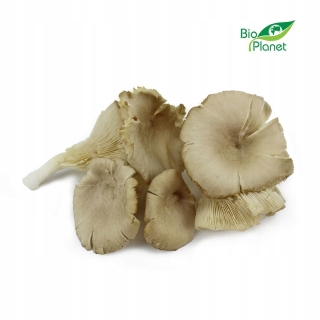 HUBY FRESH BANDONKI BIO POLSKA (sada balíkov