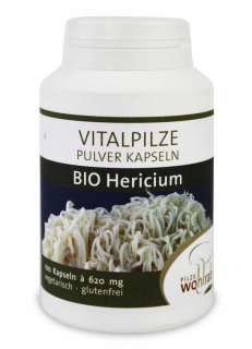 HERICIUM HUBY 100 kapsúl