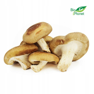 Huby Shiitake Fresh Bio (Poľsko) (asi 0,20 kg