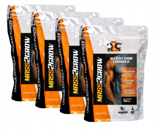 Gainer - Gainer R2G sacharidy Protekál 4KG čokoládová hmota