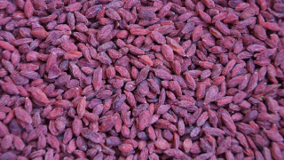 Goji bobule - 500g