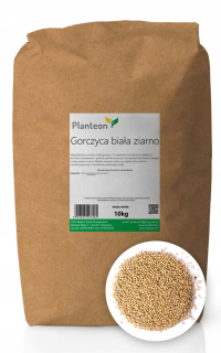 Biele horčičné zrno PRE DOMÁCE PRÍPRAVKY 10KG
