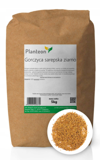 SAREPKA MUSTER HOUSE MUSZTARDA 5KG