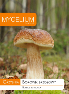 Gromp Boletus Bolteus