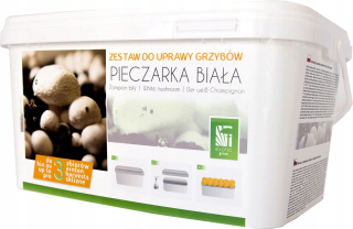 Húb huby biele huby v 5l záhrade