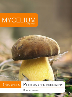 Grzygnia Brown Huby v záhrade